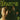 The Doors - The Doors