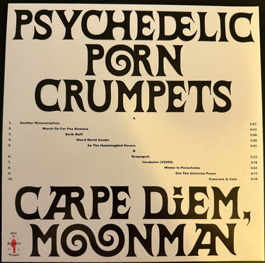 Psychedelic Porn Crumpets - Carpe Diem Moonman
