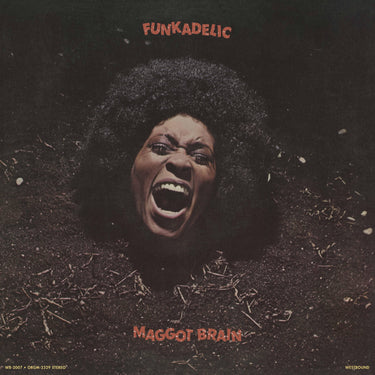 Funkadelic - Maggot Brain